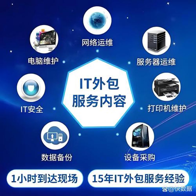 上海信息技术公司的创新与挑战