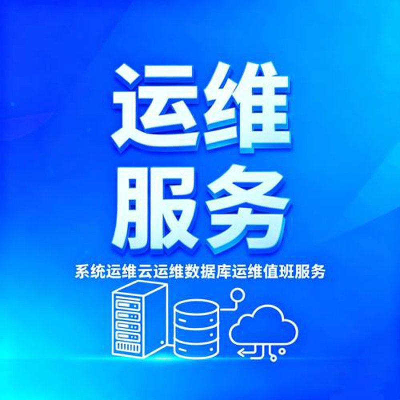 上海信息技术公司的创新与挑战